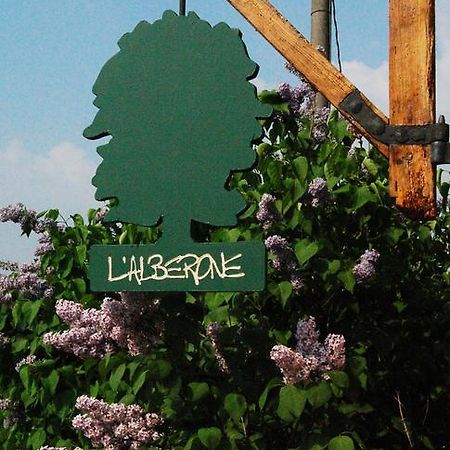 B&B L'Alberone Budrio  Eksteriør billede