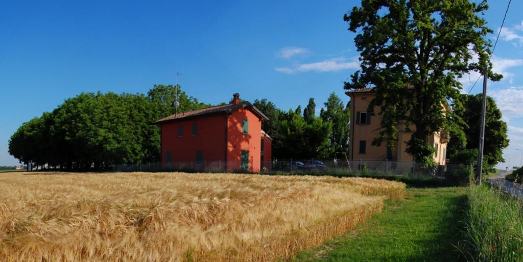 B&B L'Alberone Budrio  Eksteriør billede