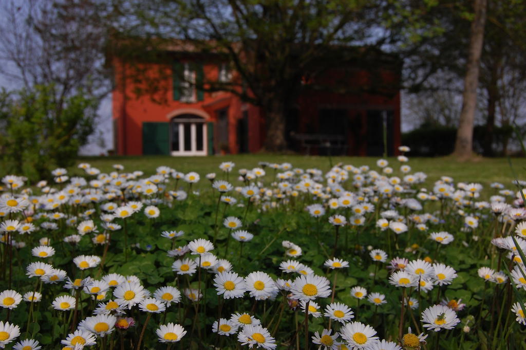 B&B L'Alberone Budrio  Eksteriør billede